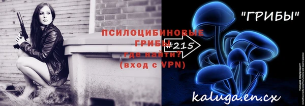 мяу мяу мука Белокуриха