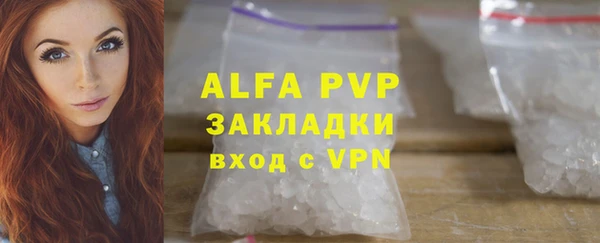 мяу мяу мука Белокуриха