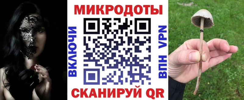 Галлюциногенные грибы мицелий дарк нет формула Фёдоровский закладки